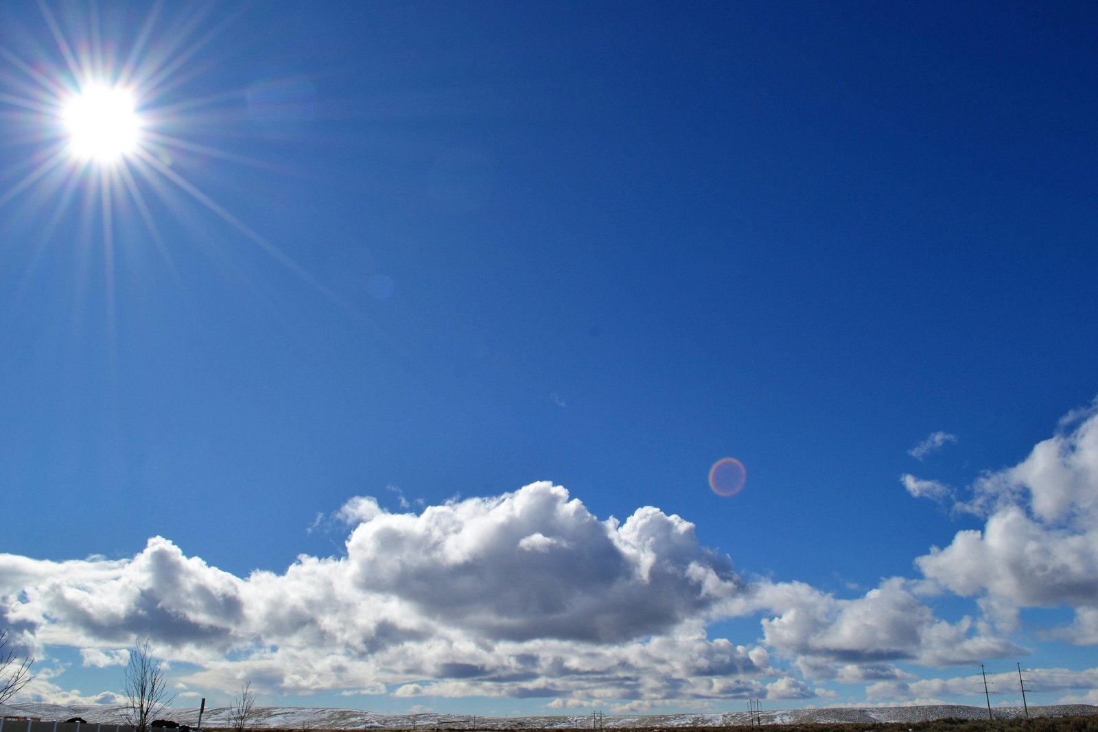 Window Tint vs Solar Screens | Heat Reduction & Energy Savings Arlington, TX